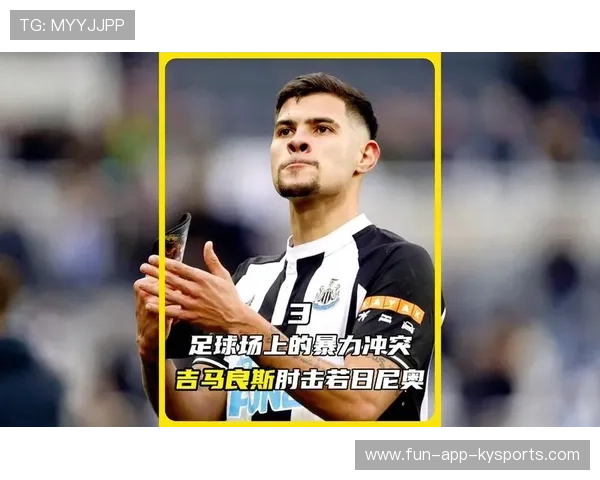 球场冲突：暴力事件背后的原因分析，足球场暴力冲突